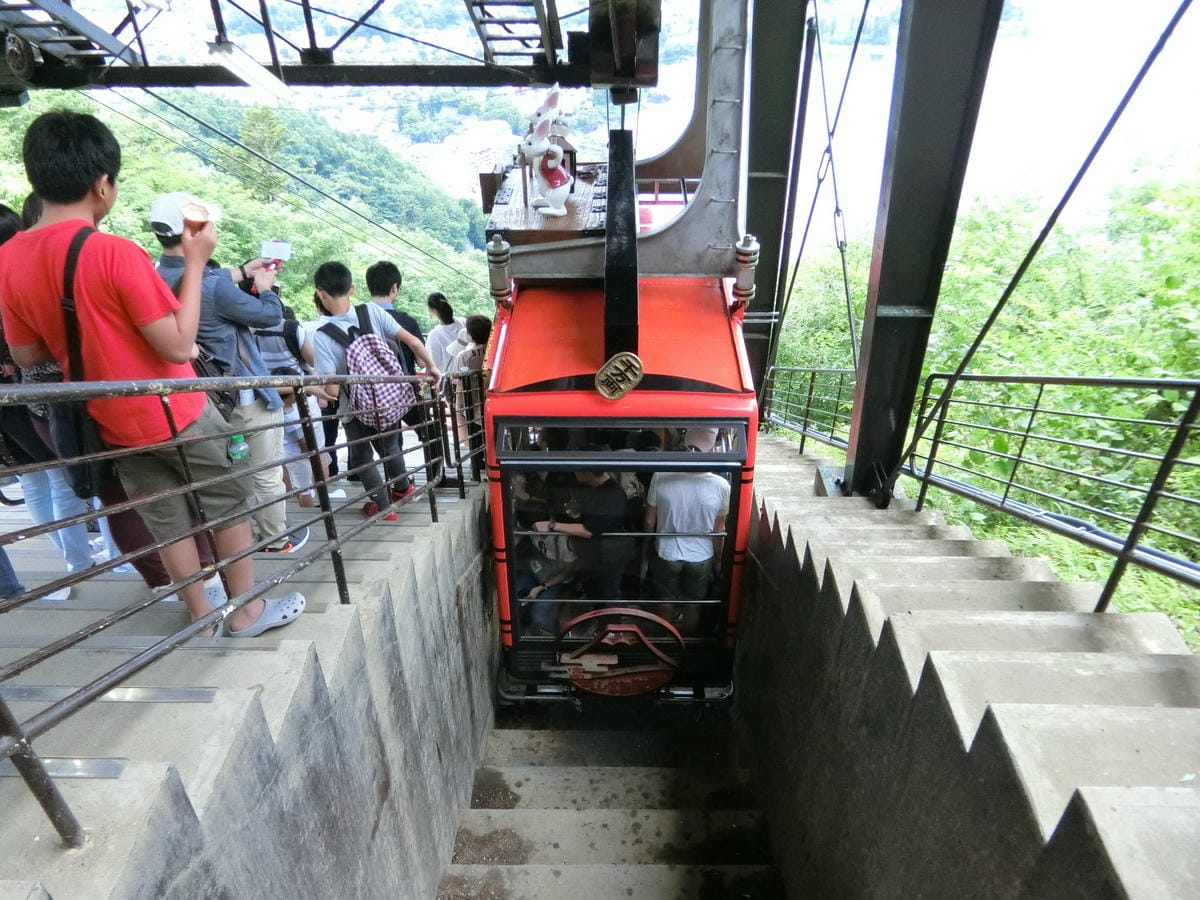 CIMG2996.JPG CIMG2996.JPG