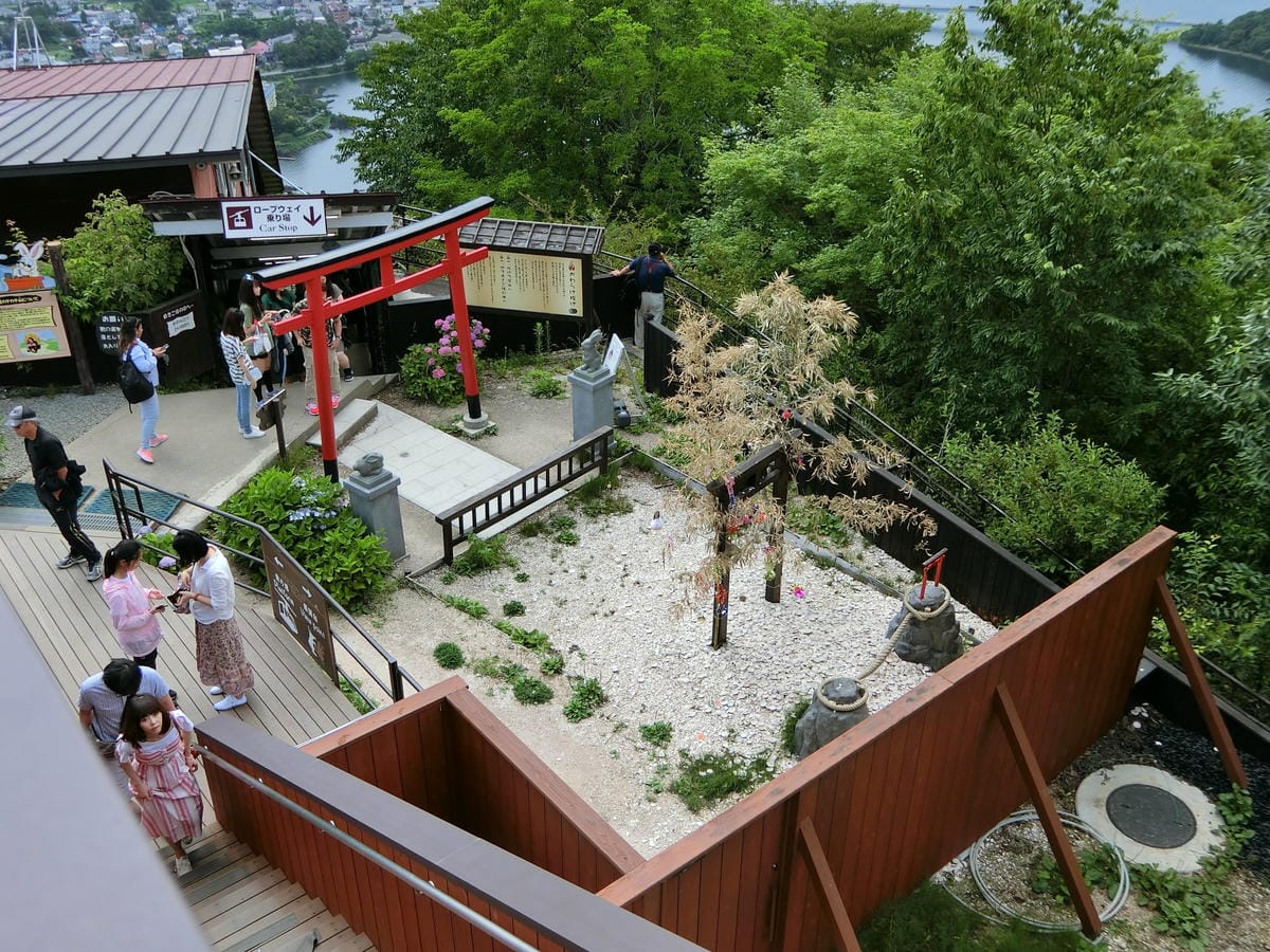 CIMG2981.JPG CIMG2981.JPG