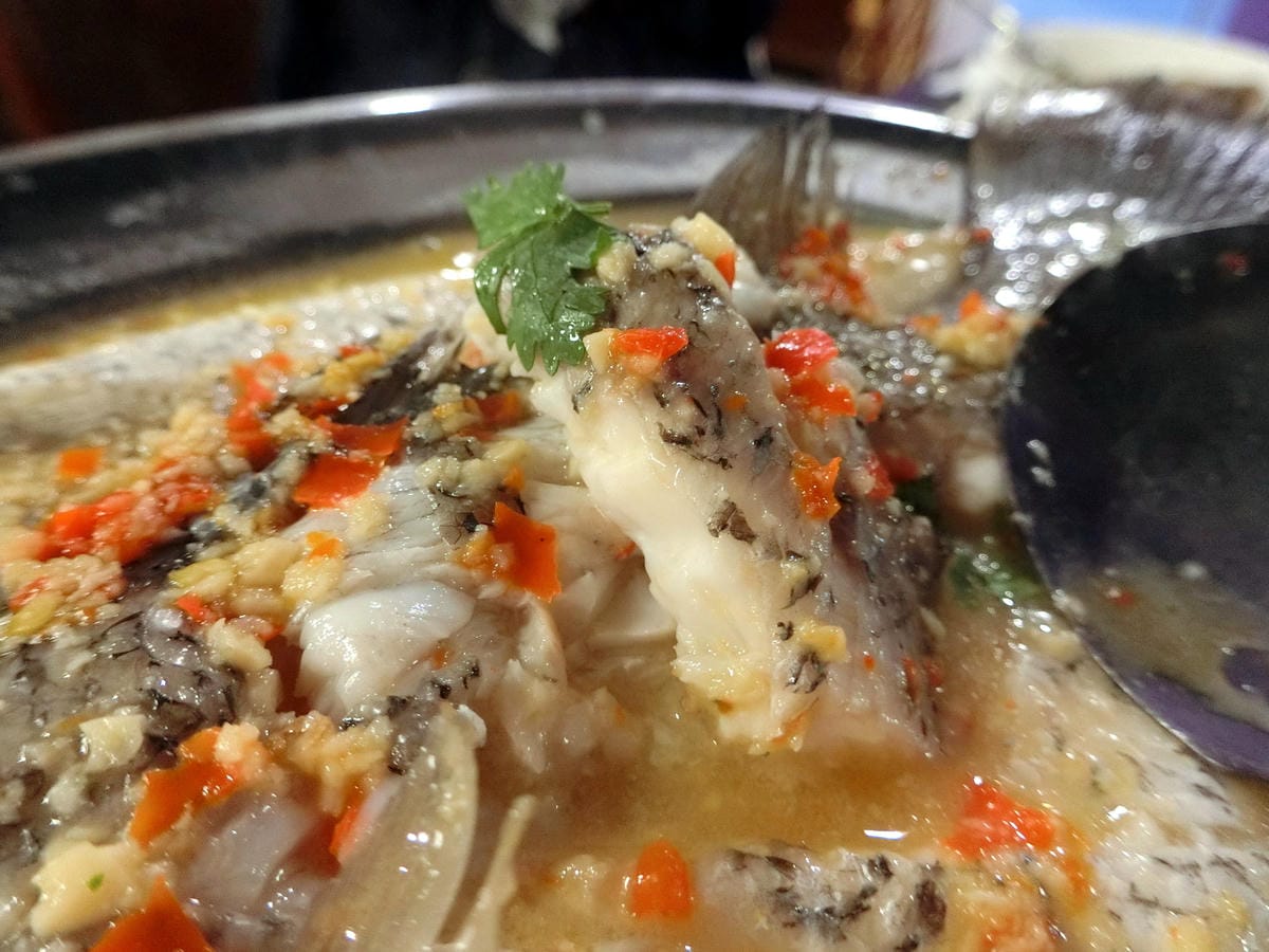 CIMG5083.JPG CIMG5083.JPG