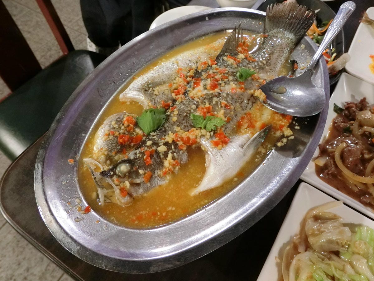 CIMG5081.JPG CIMG5081.JPG