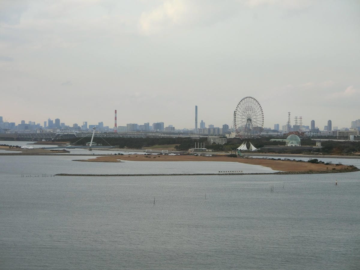 CIMG0503.JPG CIMG0503.JPG