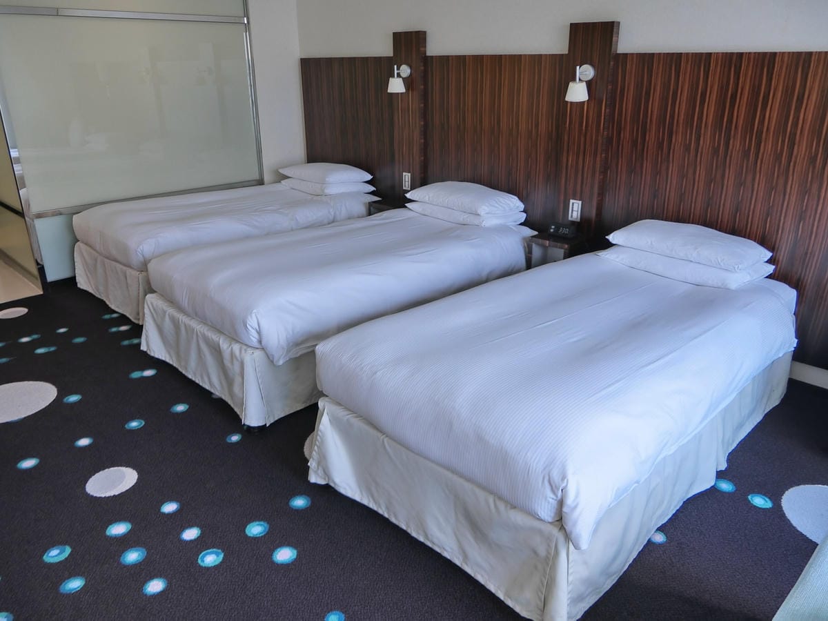 CIMG0486.JPG CIMG0486.JPG