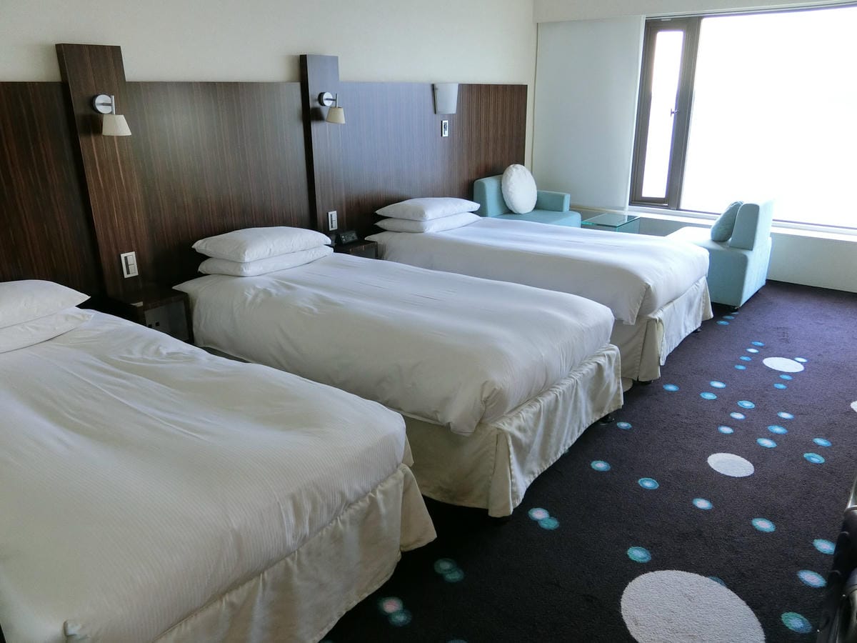 CIMG0484.JPG CIMG0484.JPG