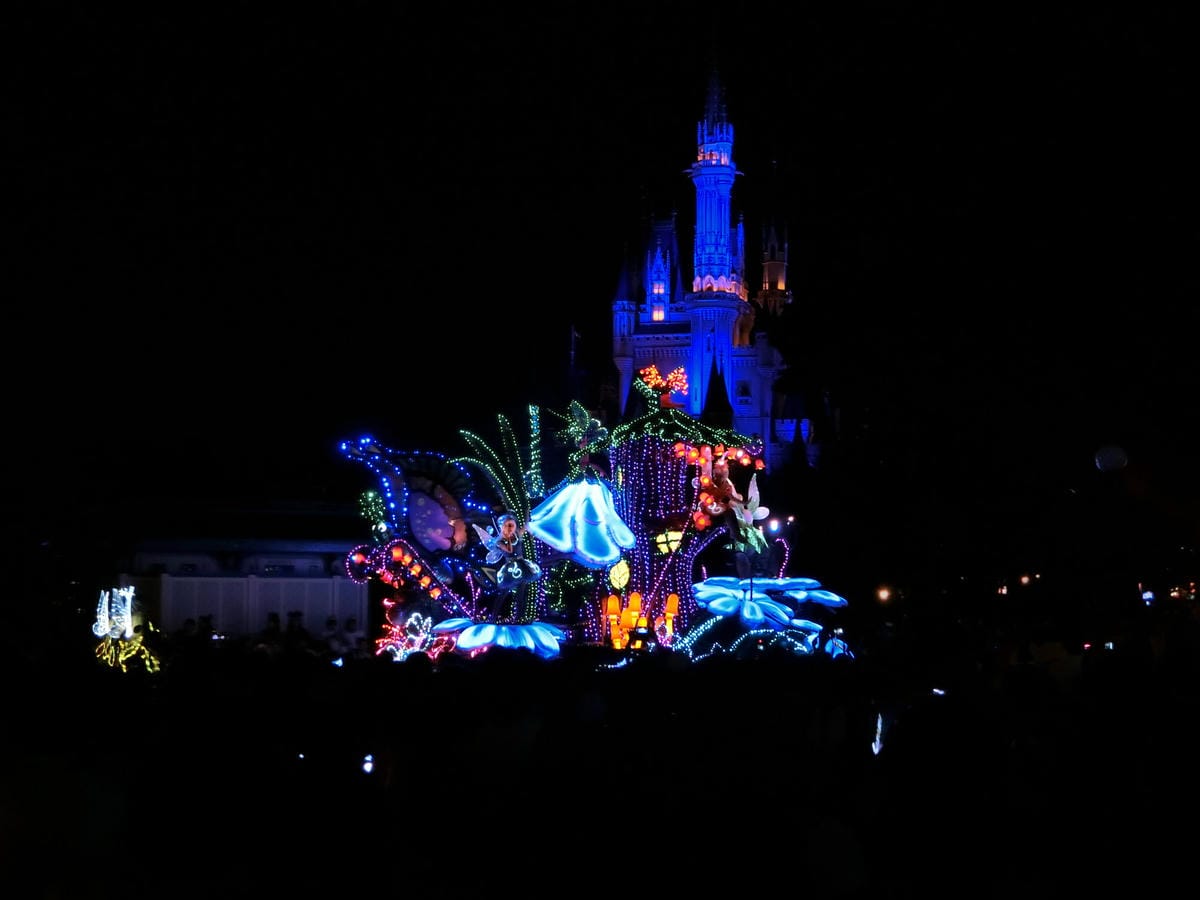 CIMG3320.JPG CIMG3320.JPG