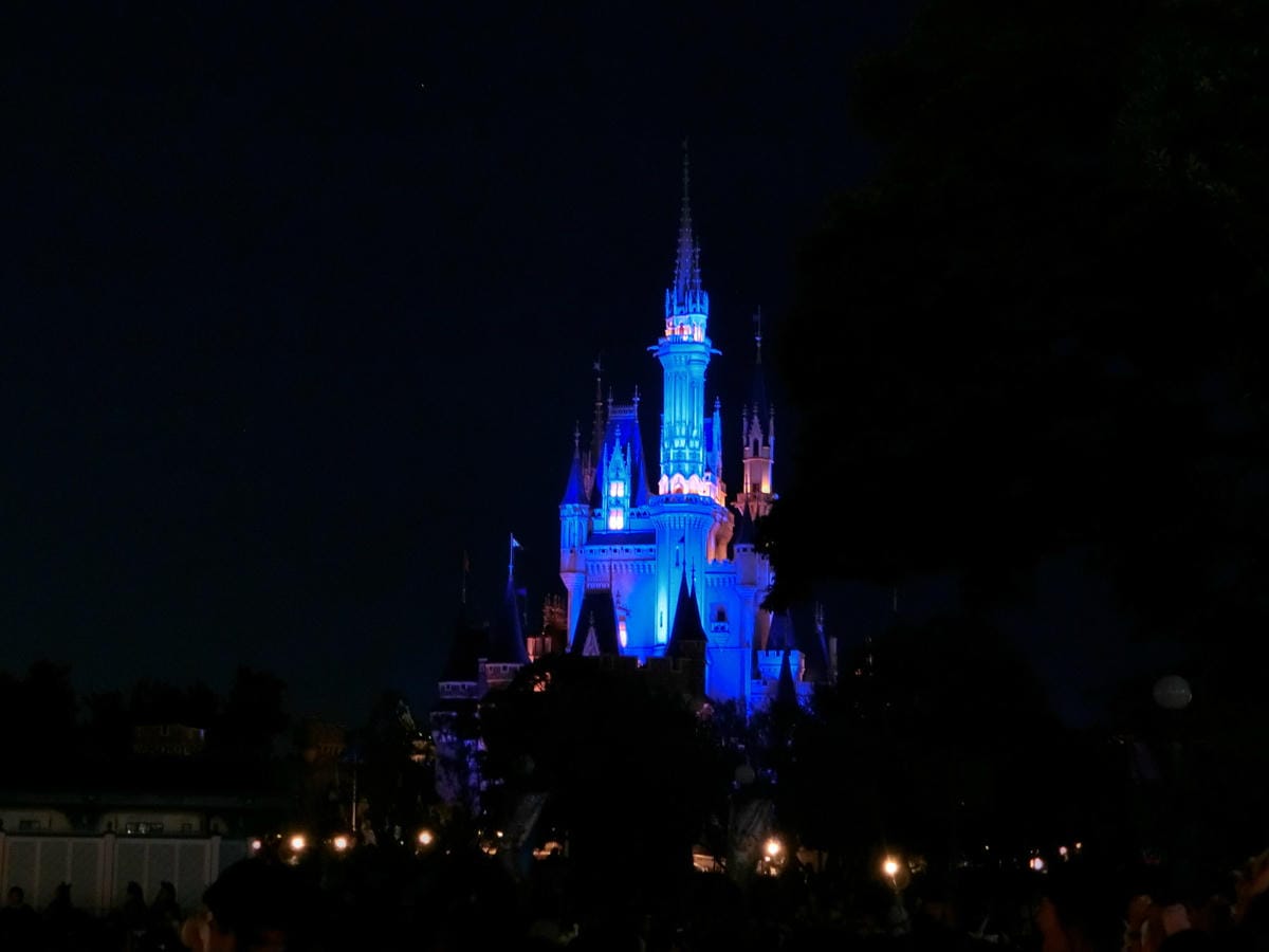 CIMG3317.JPG CIMG3317.JPG