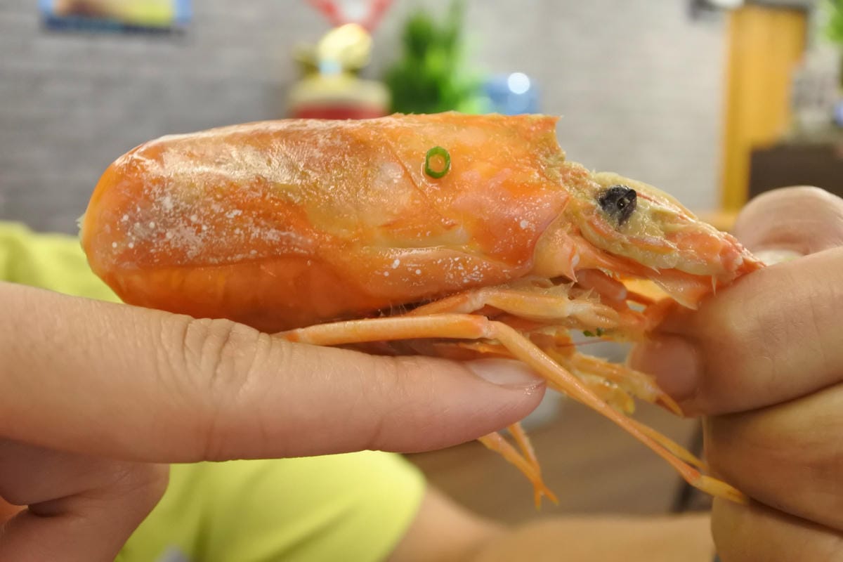 DSC_1097.JPG DSC_1097.JPG