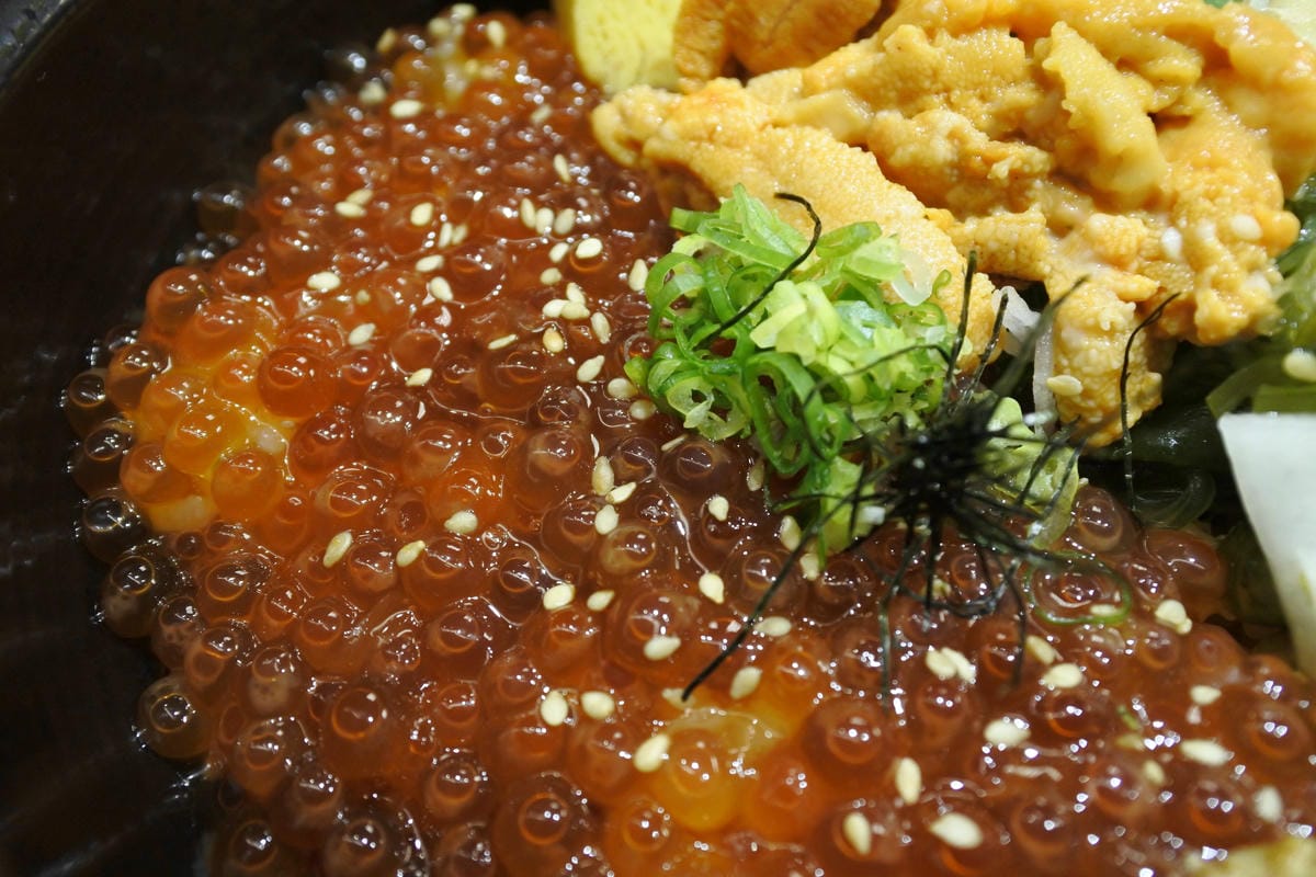 DSC_1110.JPG DSC_1110.JPG