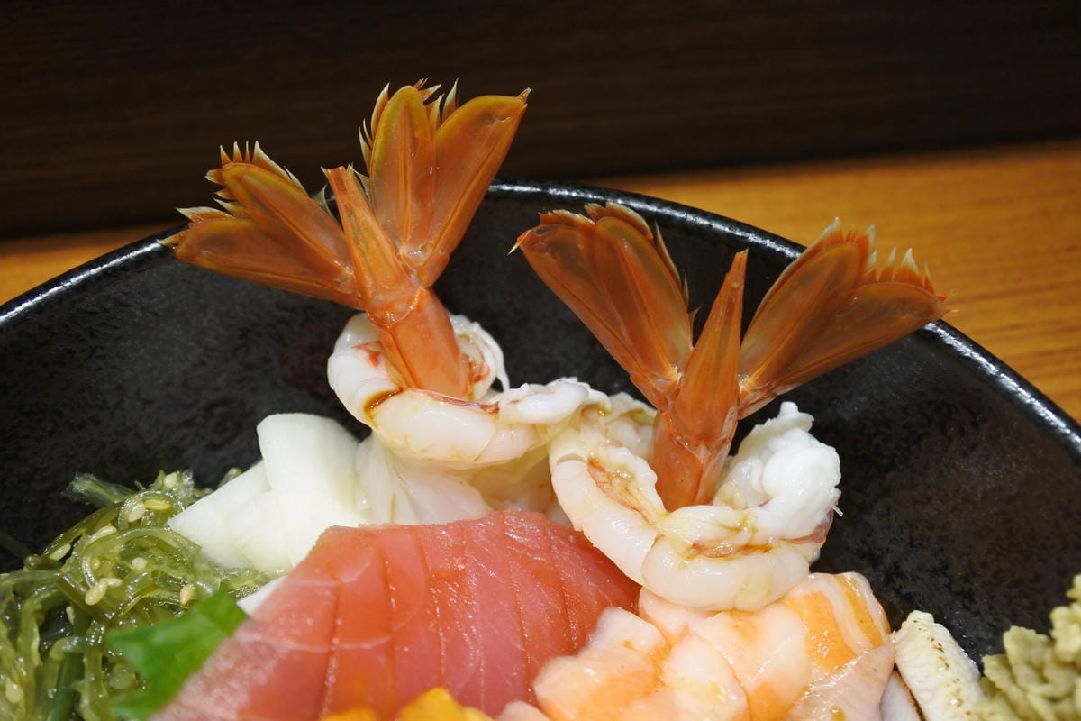 DSC_1102.JPG DSC_1102.JPG