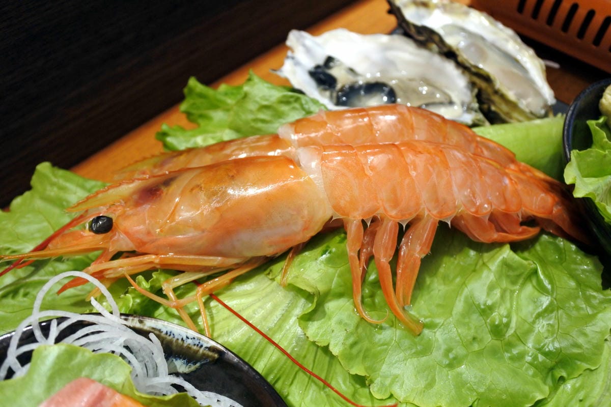 DSC_1135.JPG DSC_1135.JPG