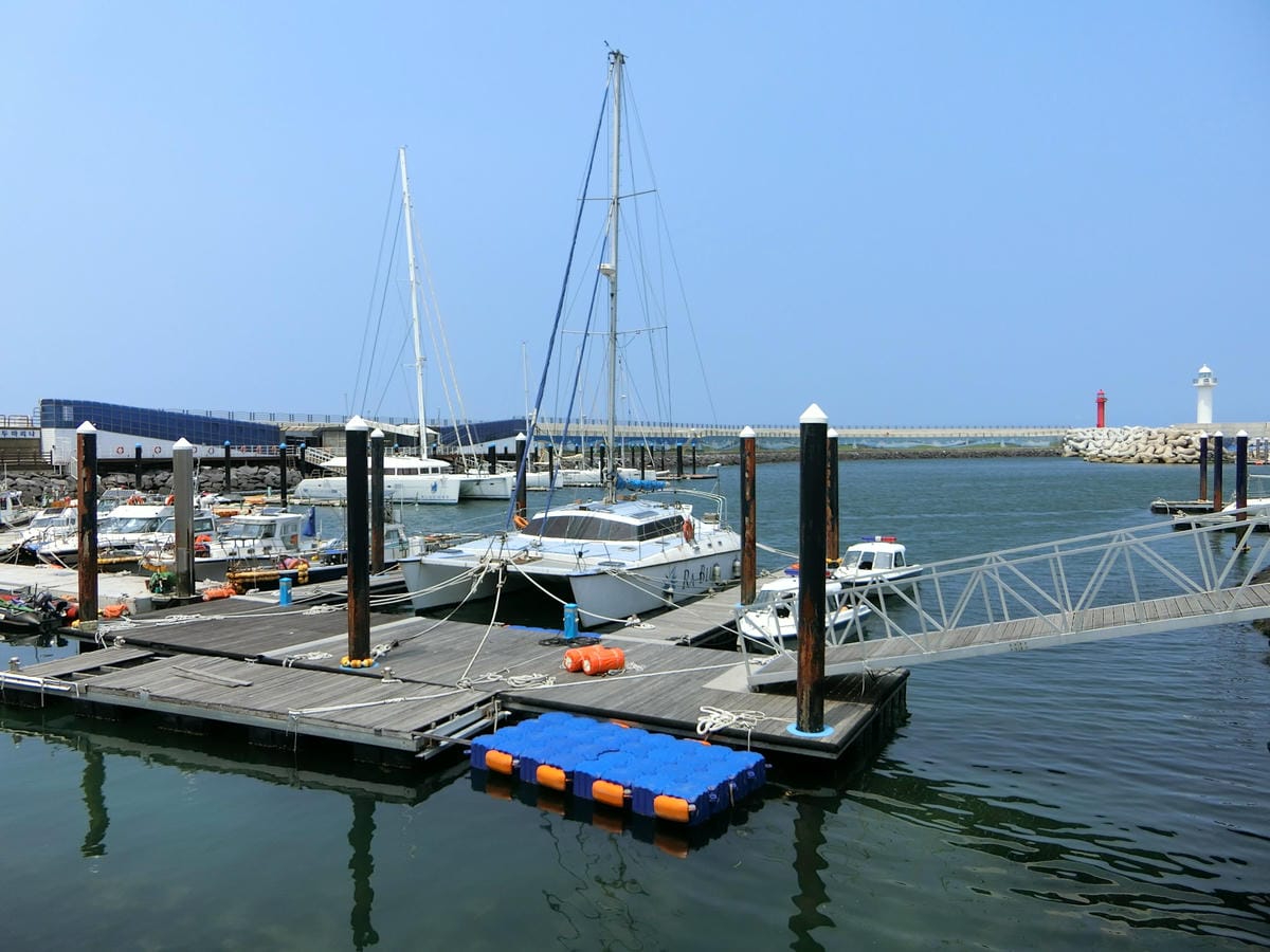 CIMG4037.JPG CIMG4037.JPG