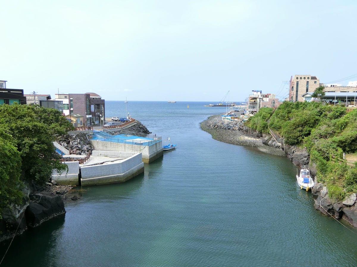 CIMG4080.JPG CIMG4080.JPG