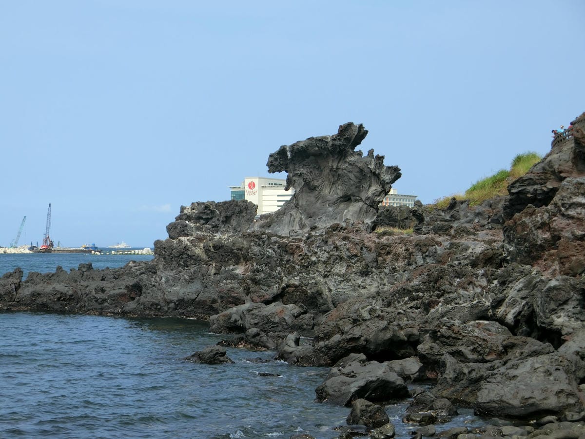 CIMG4085.JPG CIMG4085.JPG