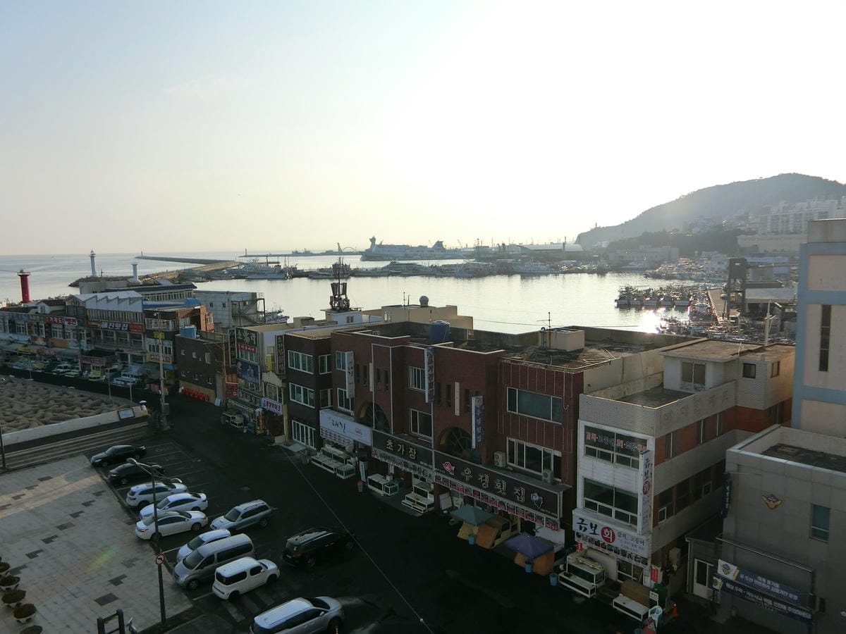 CIMG4526.JPG CIMG4526.JPG