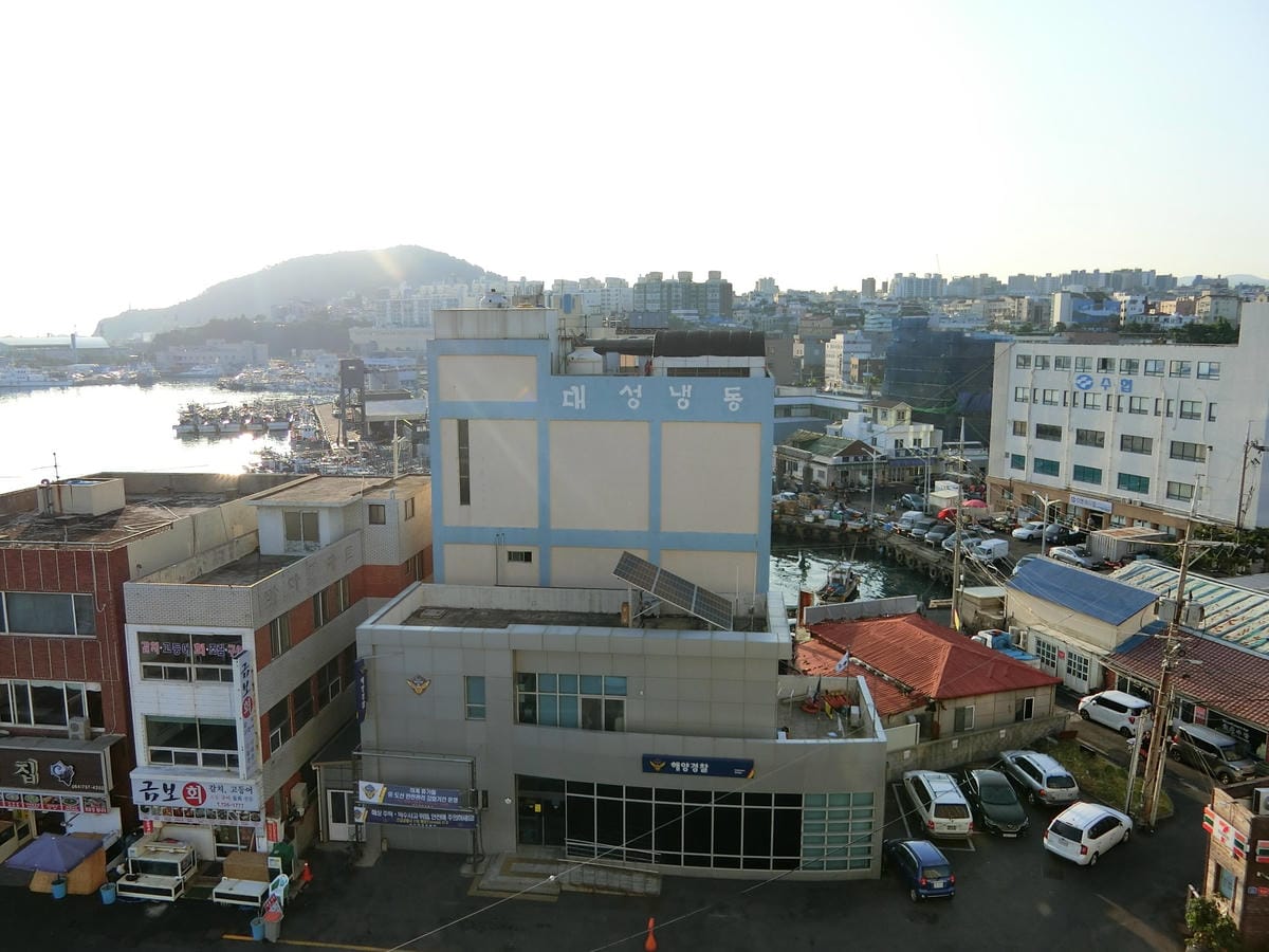 CIMG4525.JPG CIMG4525.JPG