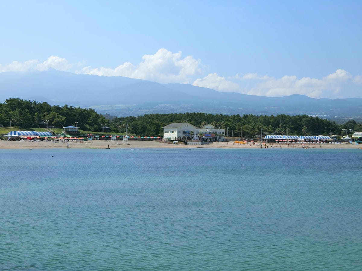 CIMG4186.JPG CIMG4186.JPG