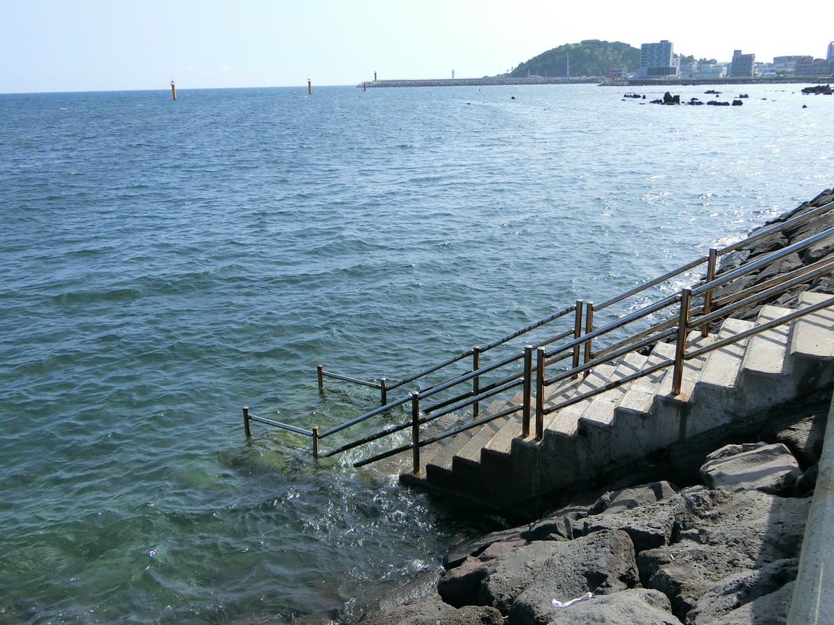 CIMG4170.JPG CIMG4170.JPG