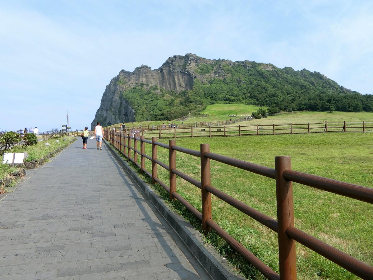 CIMG4443.JPG CIMG4443.JPG