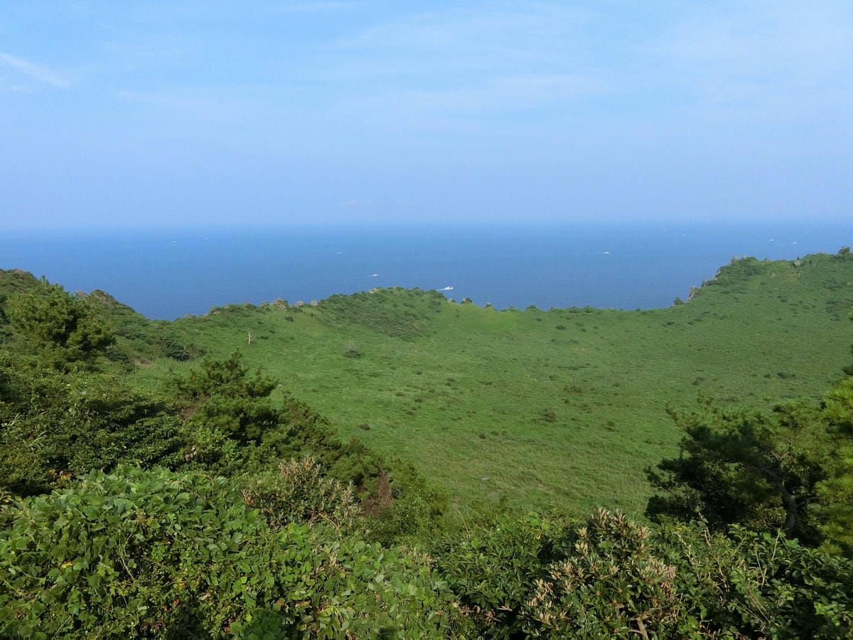 CIMG4455.JPG CIMG4455.JPG