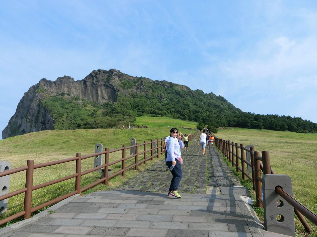 CIMG4444.JPG CIMG4444.JPG