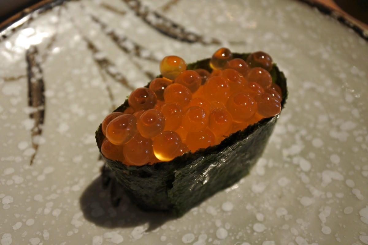 DSC_1317.JPG DSC_1317.JPG