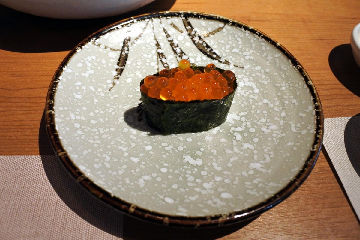 DSC_1316.JPG DSC_1316.JPG