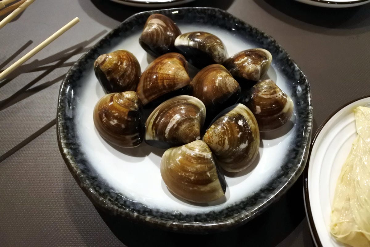 DSC_1496.JPG DSC_1496.JPG