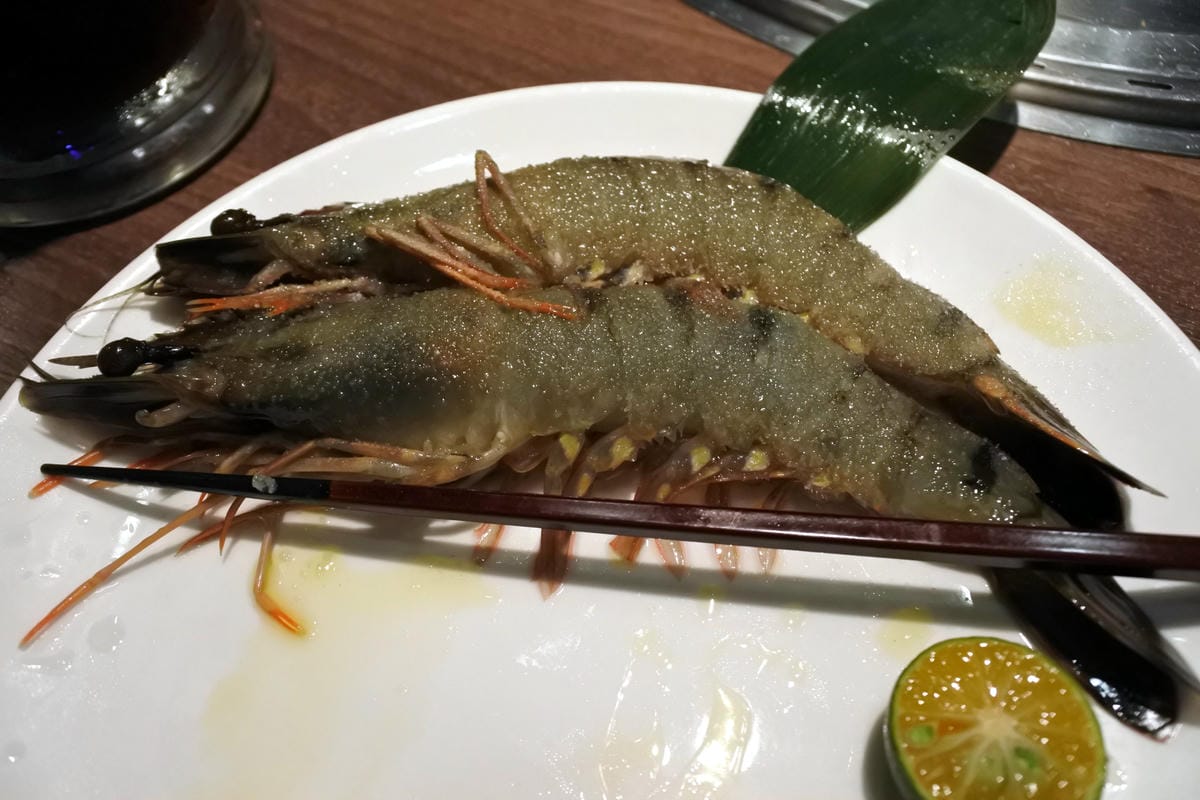 DSC_1630.JPG DSC_1630.JPG