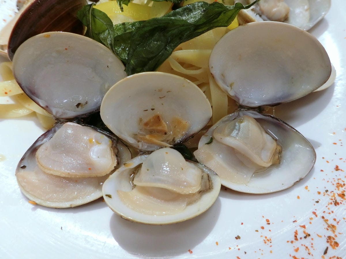 CIMG5492.JPG CIMG5492.JPG