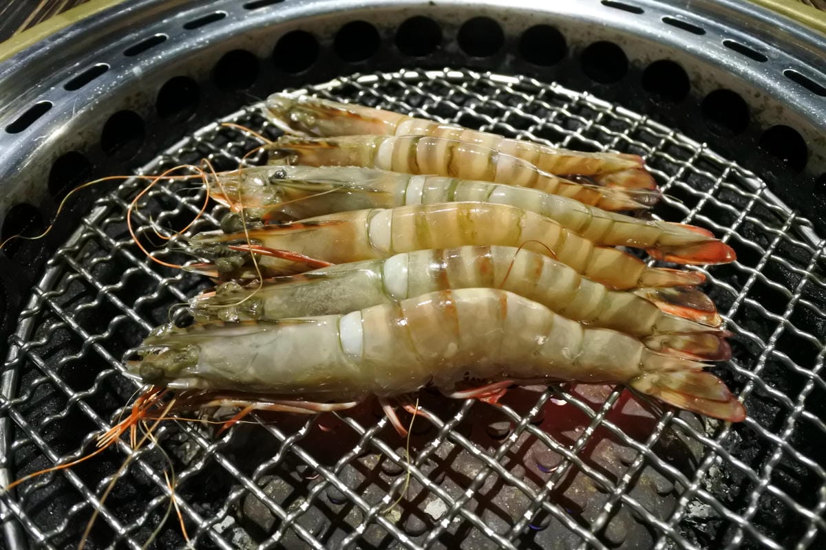 DSC_2282.JPG DSC_2282.JPG