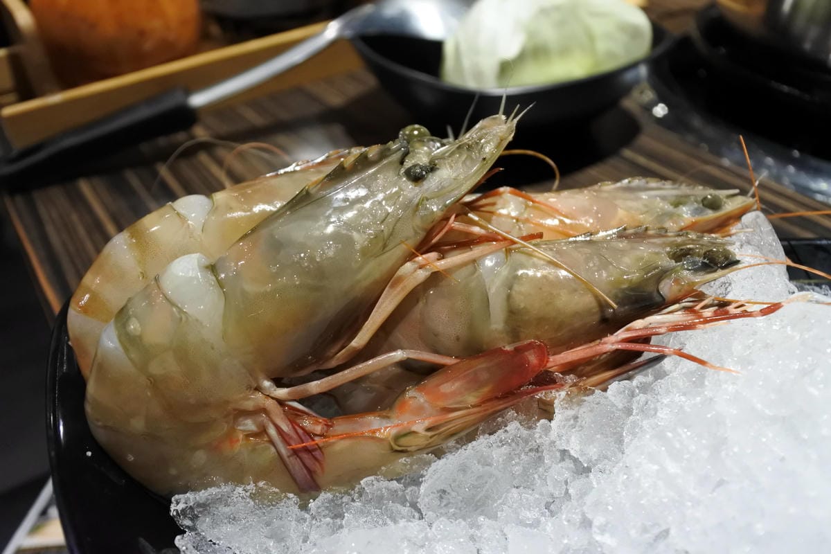 DSC_2274.JPG DSC_2274.JPG