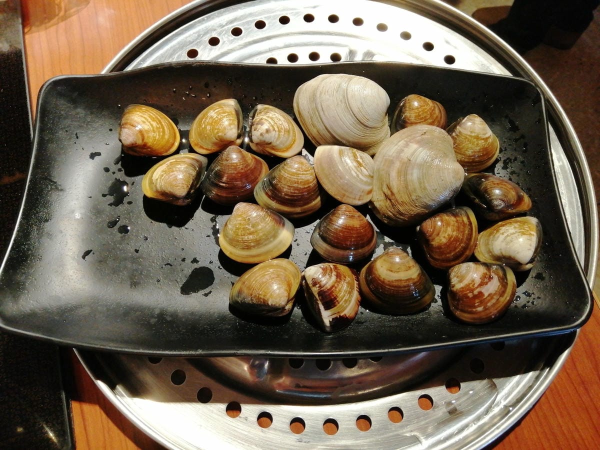 IMG_20190119_121551.jpg IMG_20190119_121551.jpg