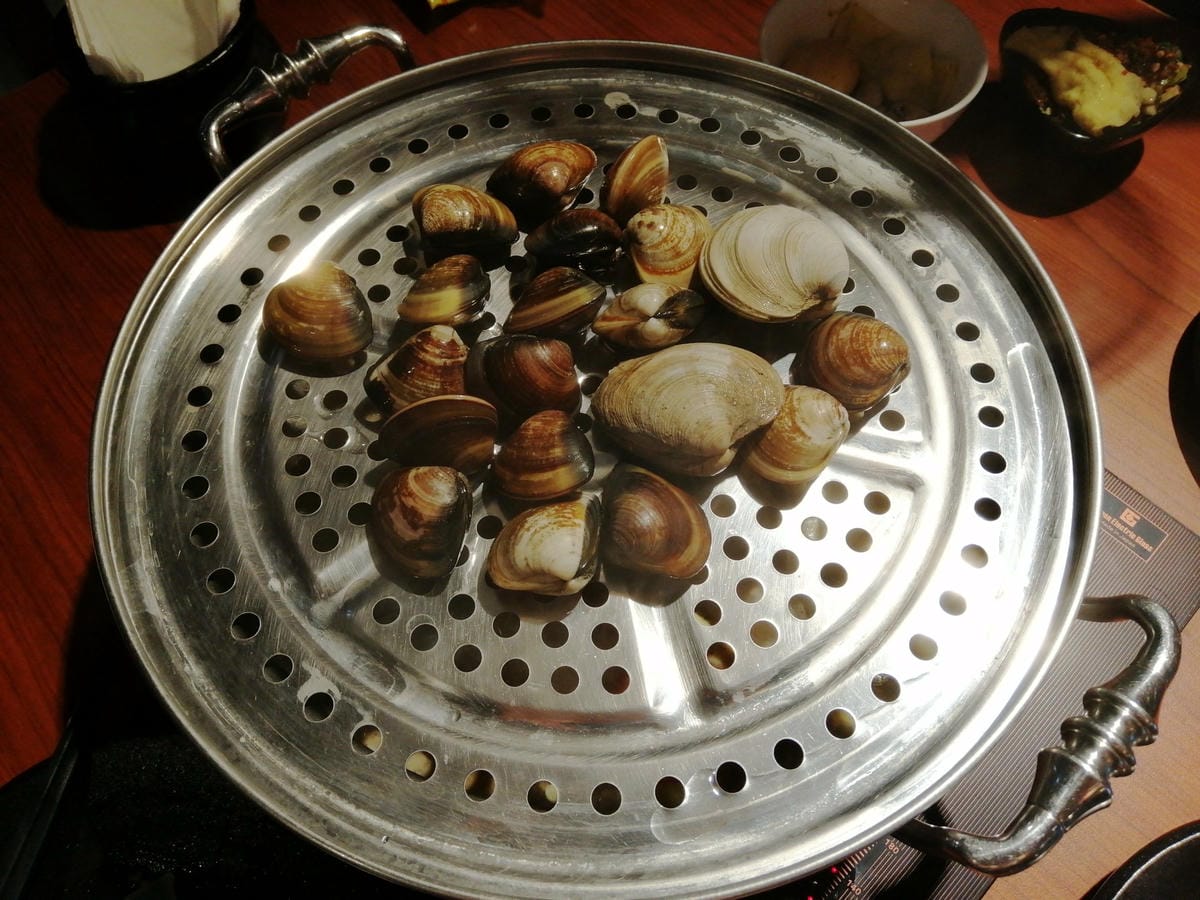 IMG_20190119_122801.jpg IMG_20190119_122801.jpg