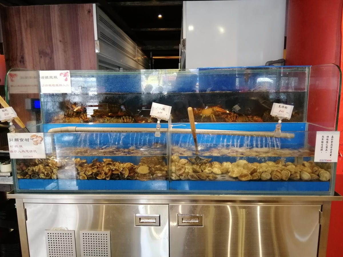 IMG_20190119_120726.jpg IMG_20190119_120726.jpg