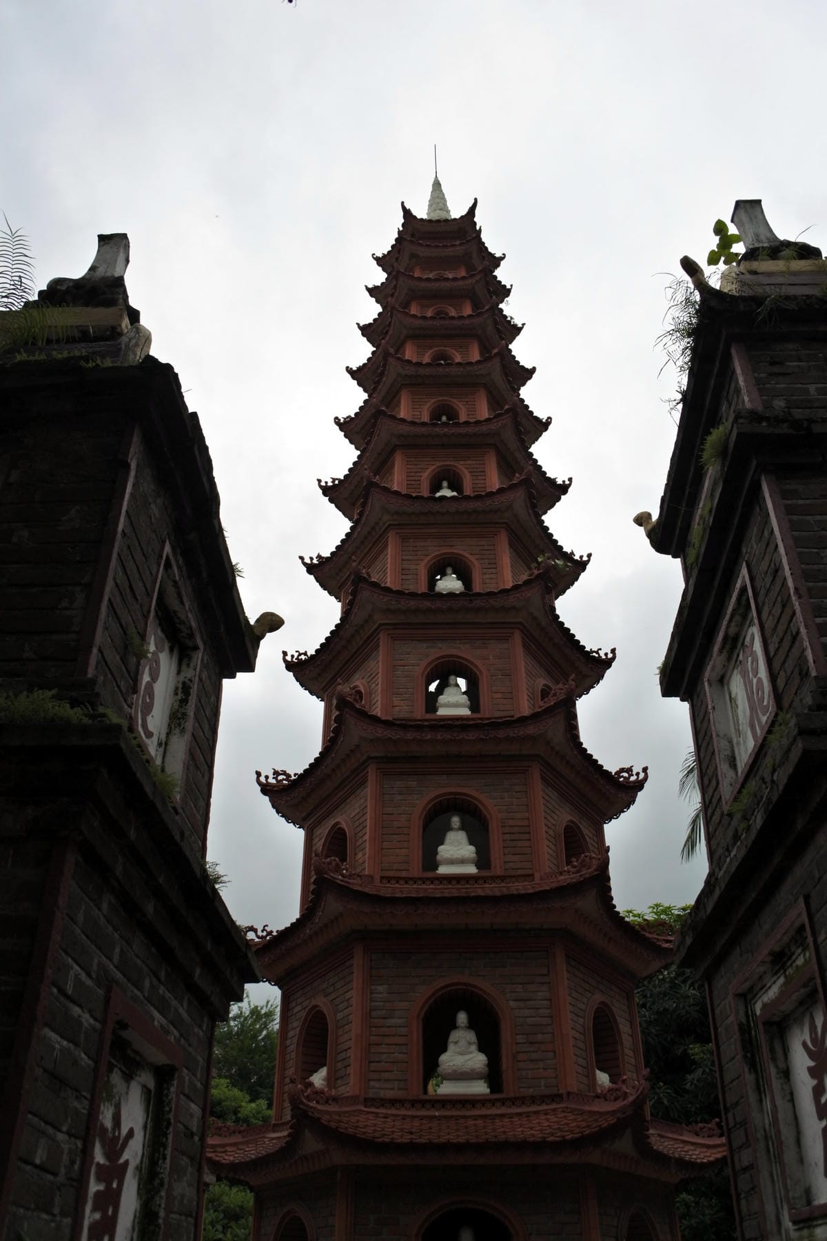 DSC_0301.JPG DSC_0301.JPG