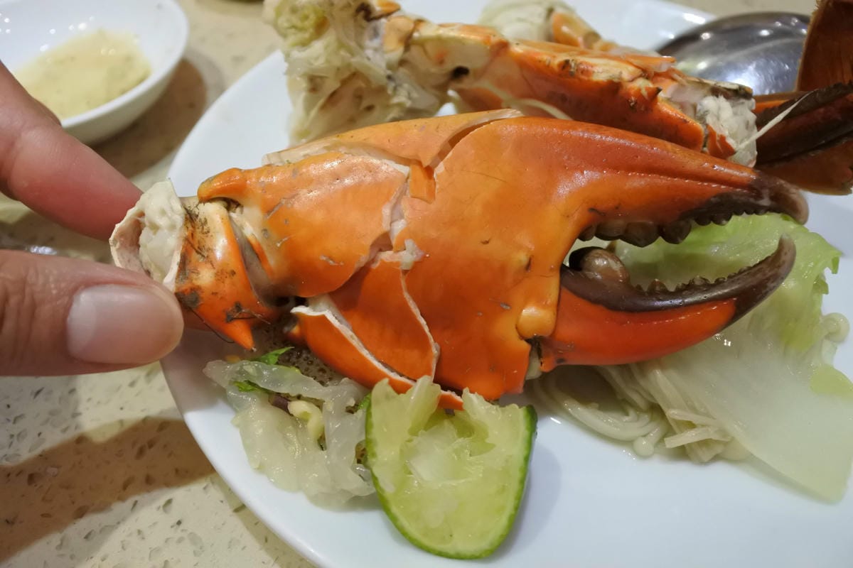 DSC_0467.JPG DSC_0467.JPG