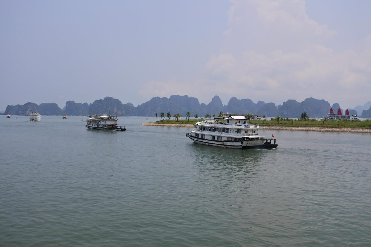 DSC_0559.JPG DSC_0559.JPG