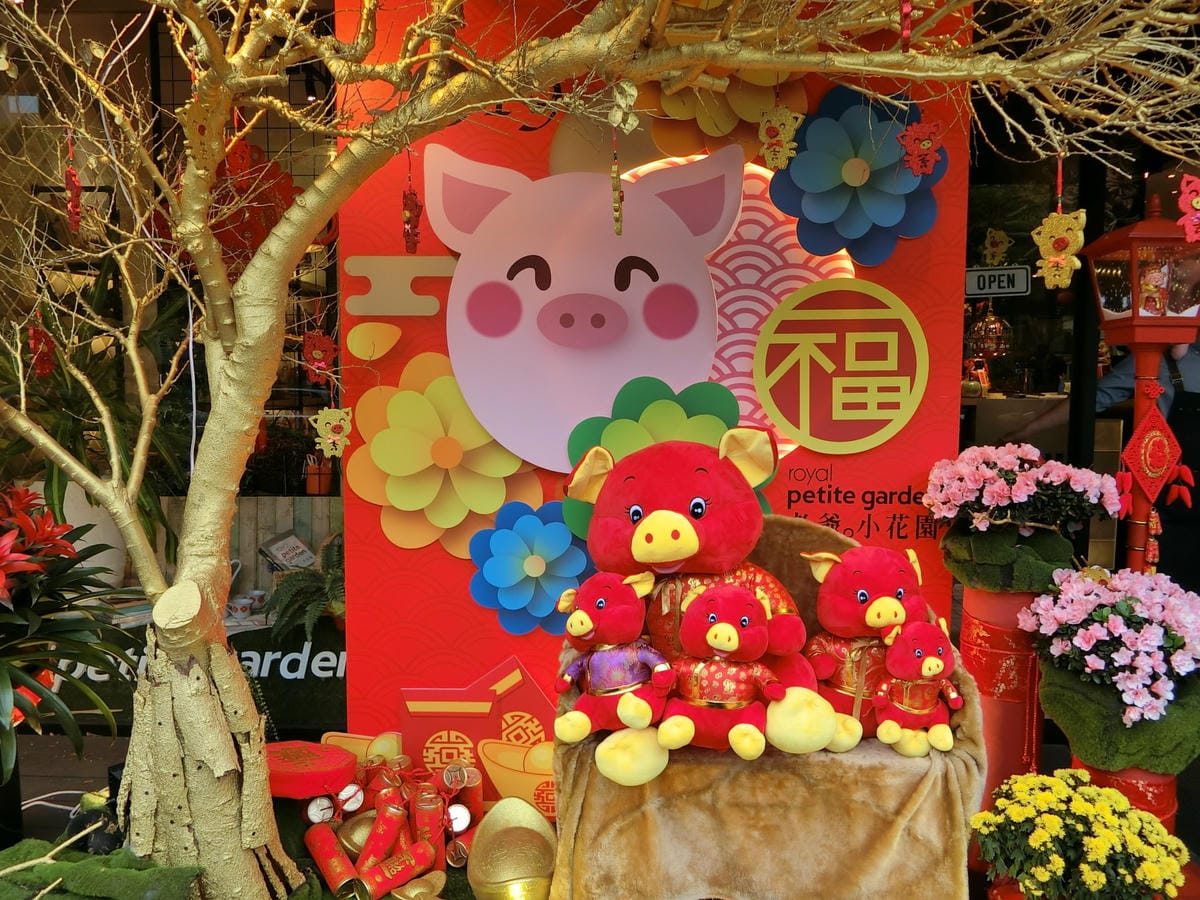 CIMG5567.JPG CIMG5567.JPG