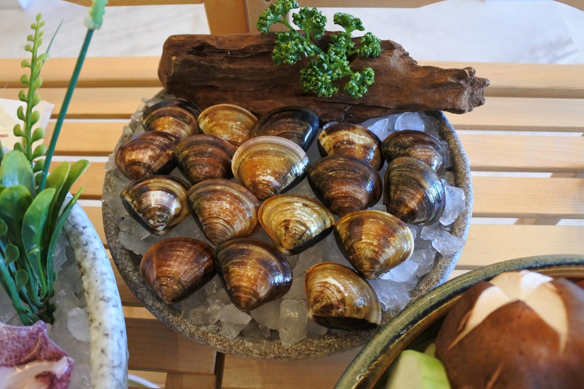 DSC_2603.JPG DSC_2603.JPG