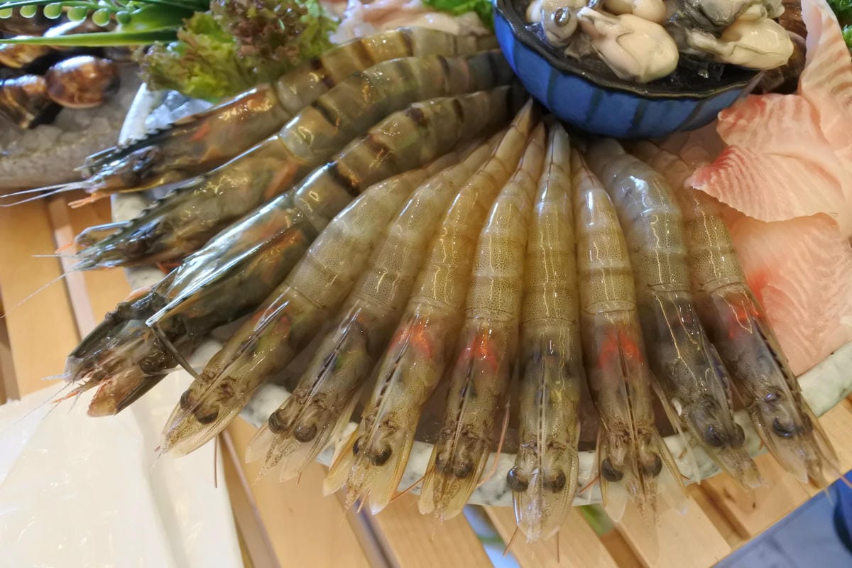 DSC_2607.JPG DSC_2607.JPG