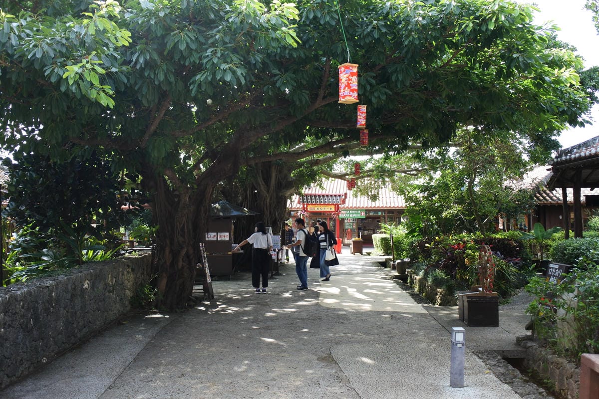 DSC_2199.JPG DSC_2199.JPG