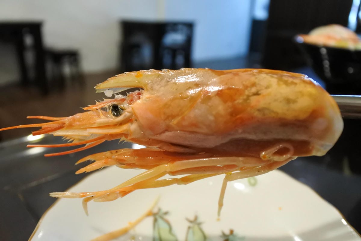 DSC_3486.JPG DSC_3486.JPG