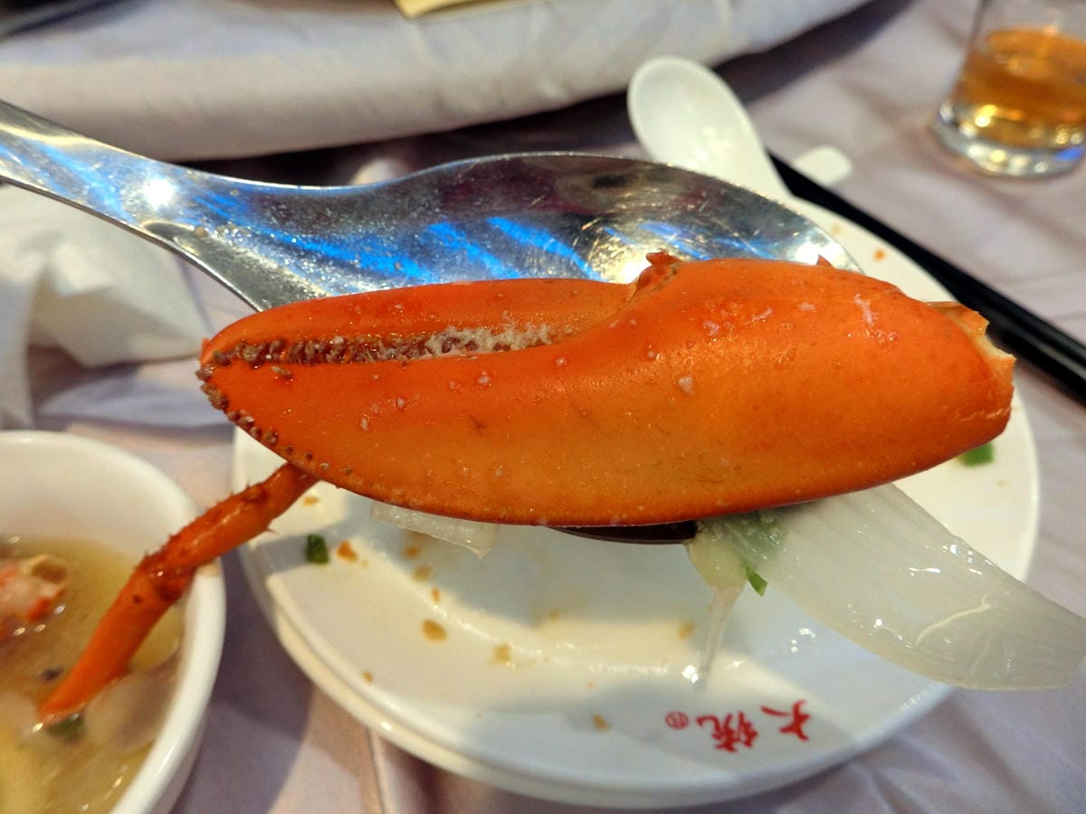 CIMG5940.JPG CIMG5940.JPG