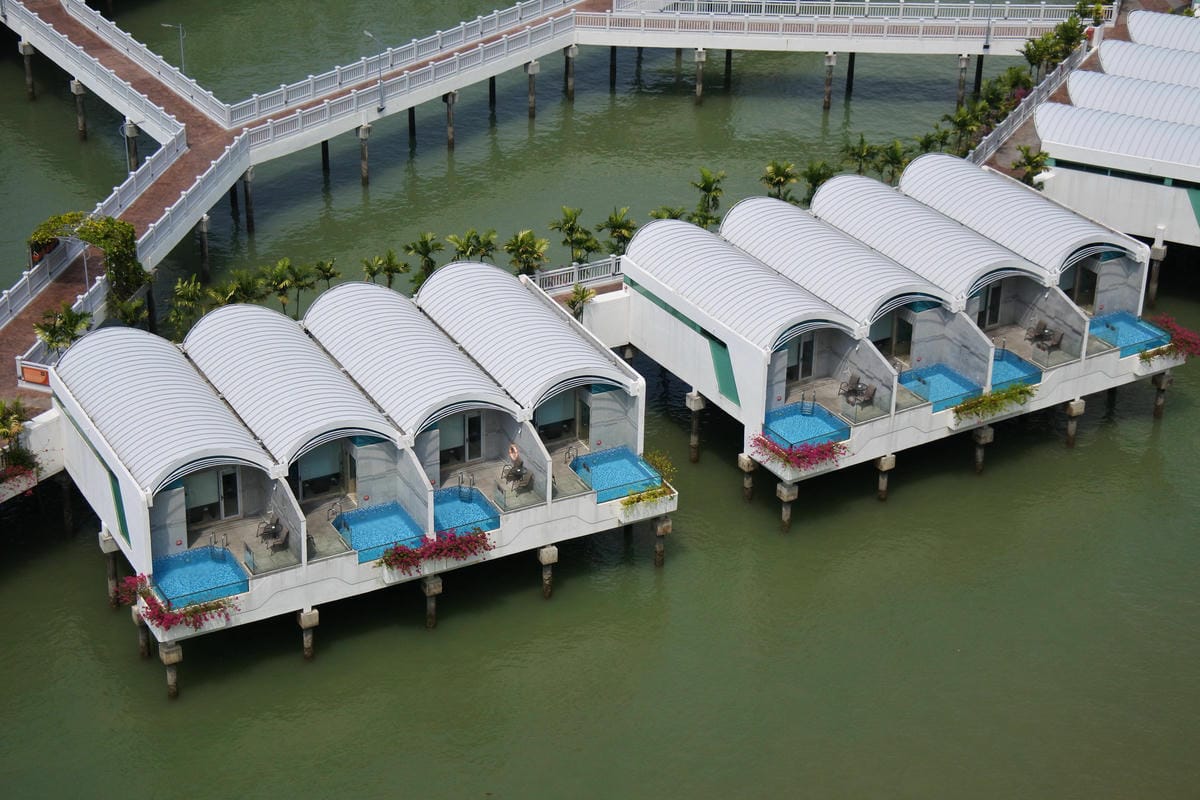 DSC_3115.JPG DSC_3115.JPG