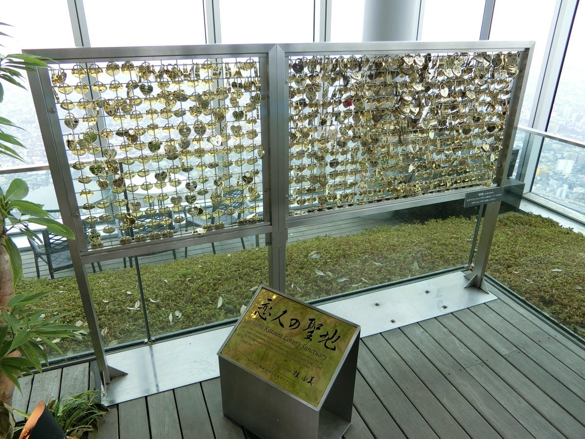 CIMG6264.JPG CIMG6264.JPG