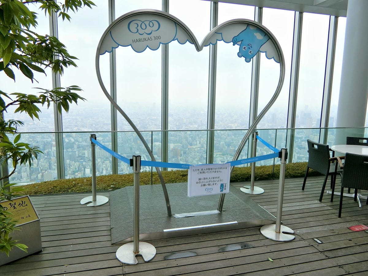 CIMG6263.JPG CIMG6263.JPG