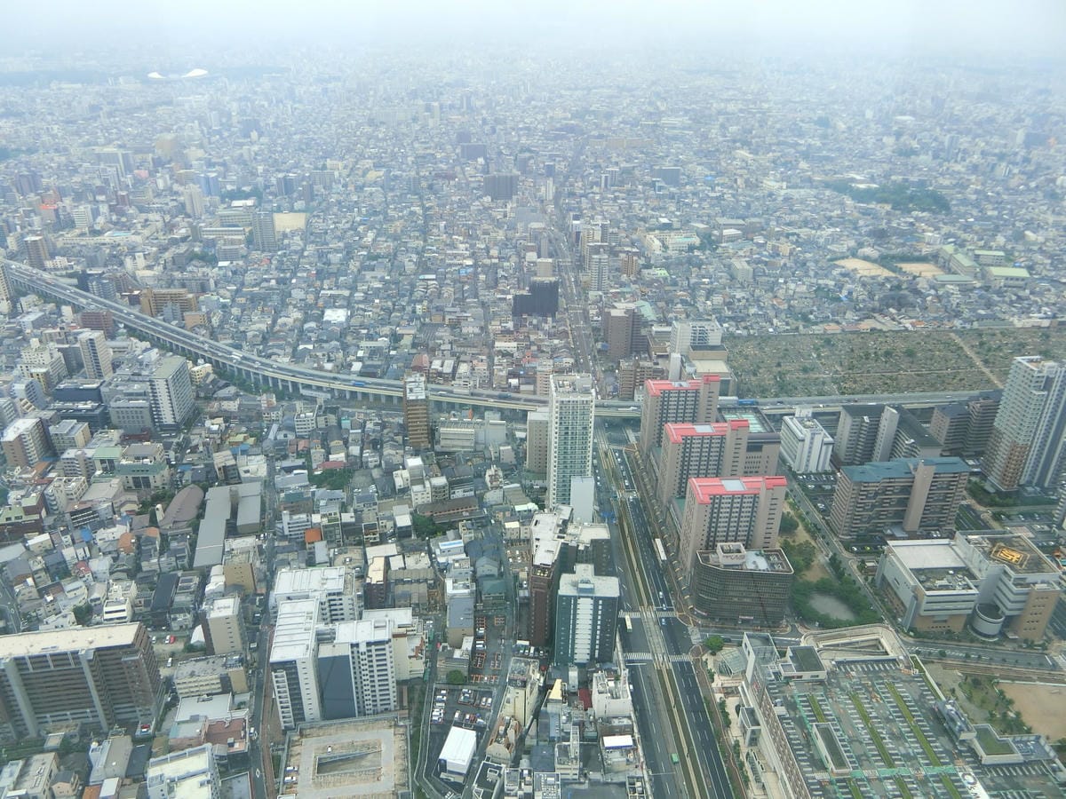 CIMG6243.JPG CIMG6243.JPG