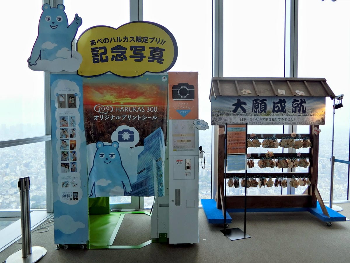 CIMG6246.JPG CIMG6246.JPG