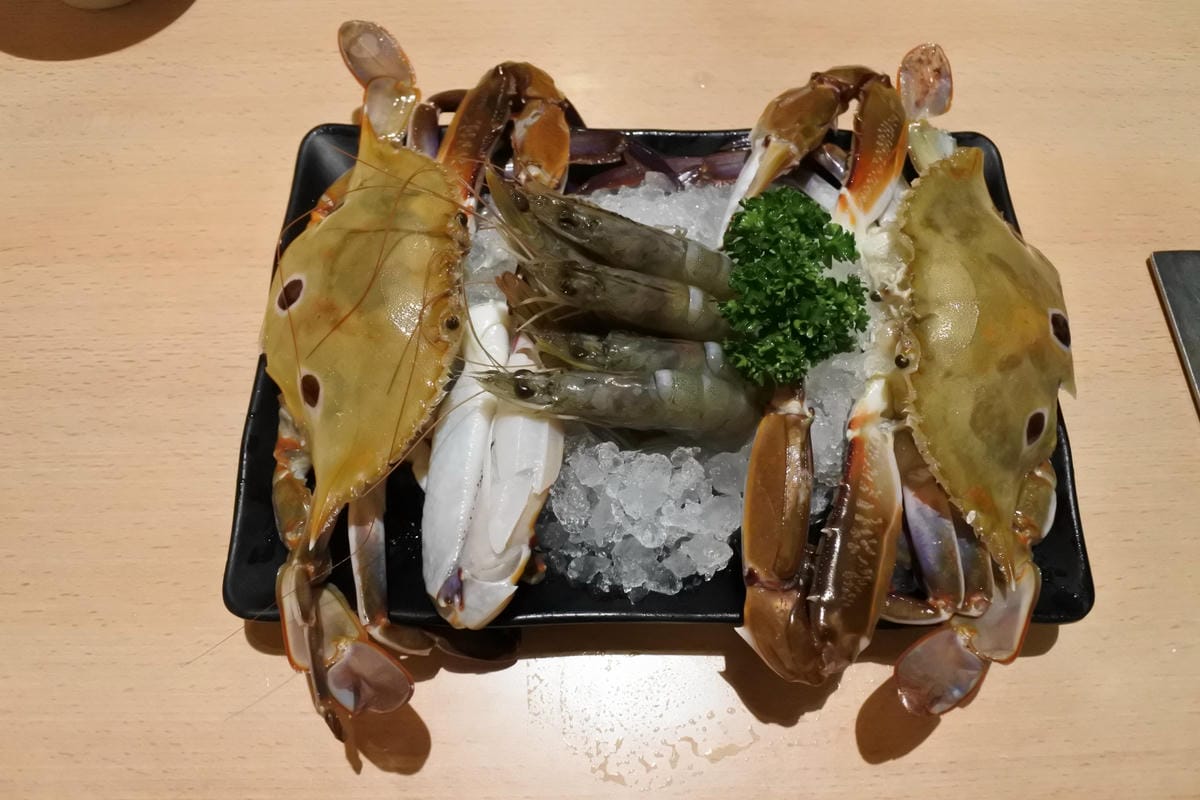 DSC_4495.JPG DSC_4495.JPG