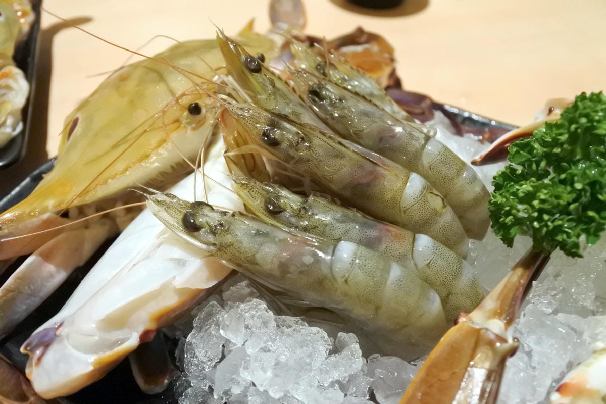 DSC_4497.JPG DSC_4497.JPG