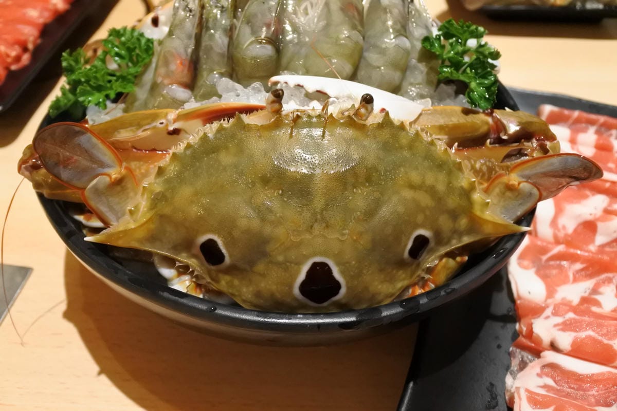 DSC_4510.JPG DSC_4510.JPG